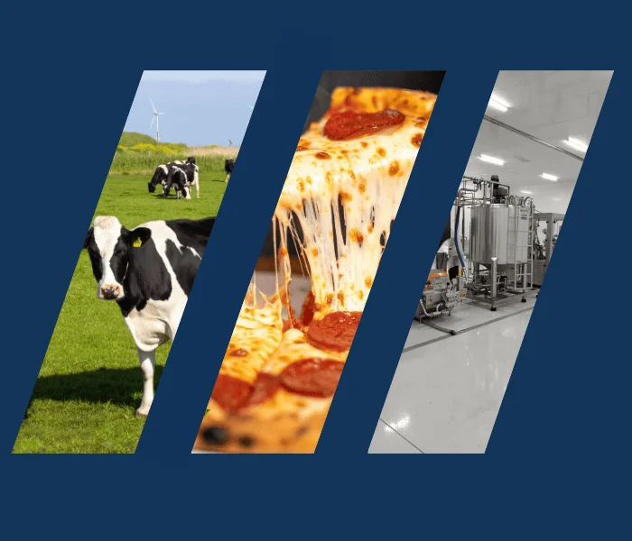 Images qui combine la nature avec des vaches le fromage d'une pizza et l'intérieur d'une usine de fromage